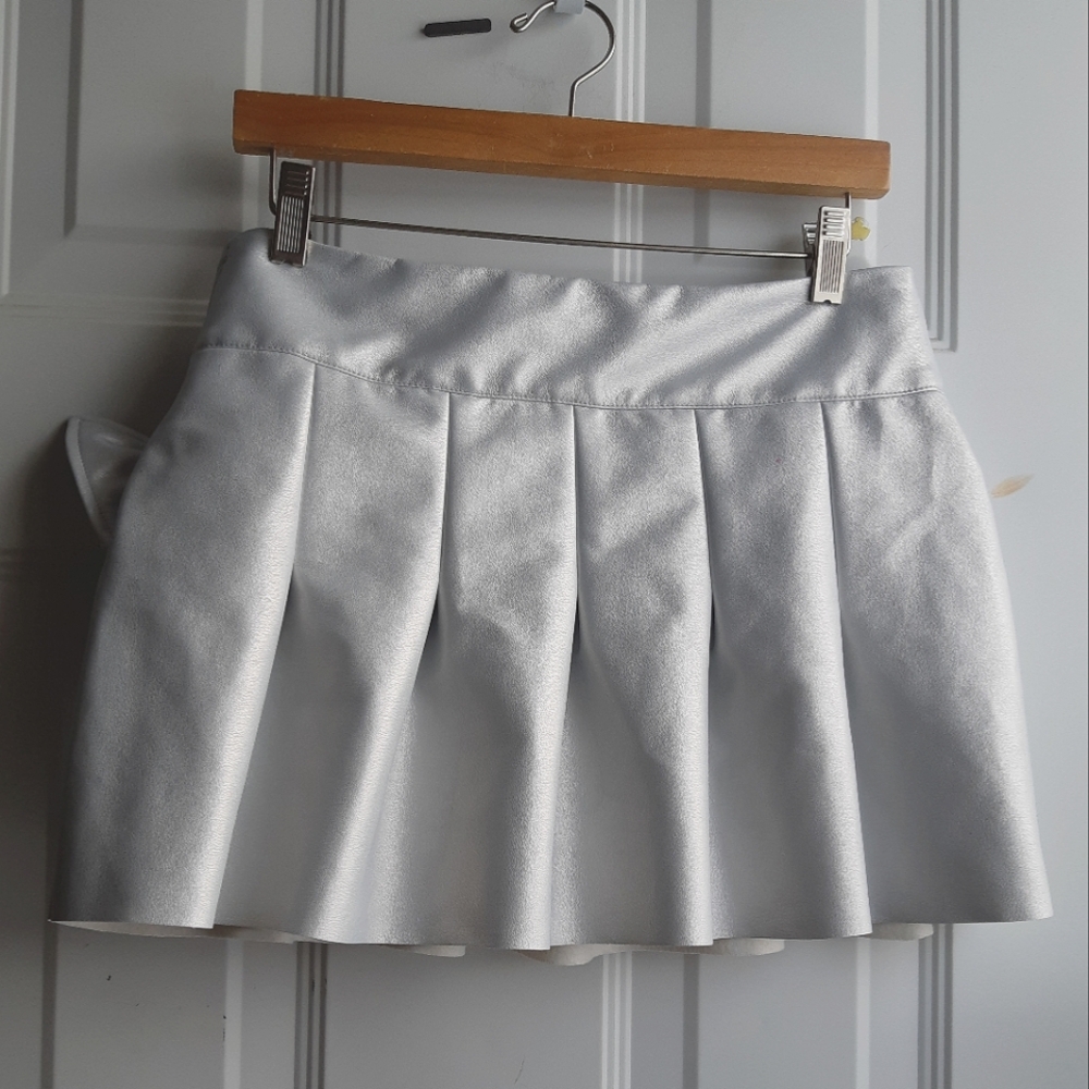 Silver Skirt - Picture 2 of 8